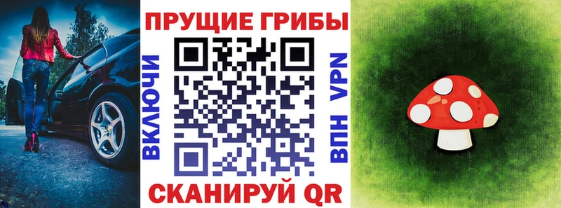 где можно купить Шуя Галлюциногенные грибы ЛСД